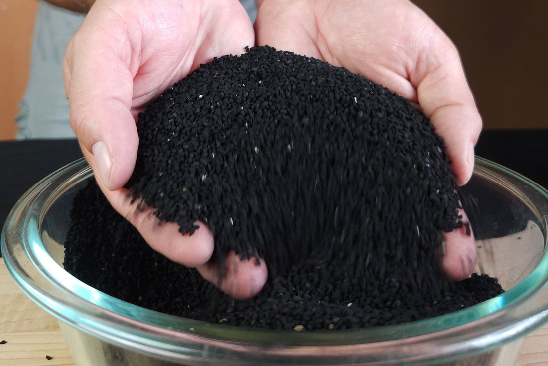 Does Black Seed Oil Really Need 5% Thymoquinone?